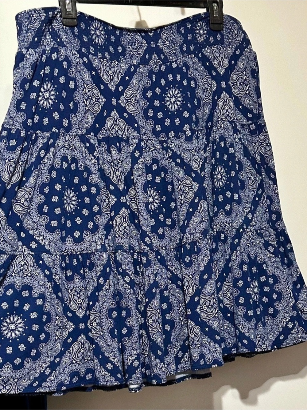 Paisley A-Line Skirt in Blue & White